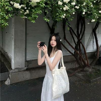 狗假死之物 海报