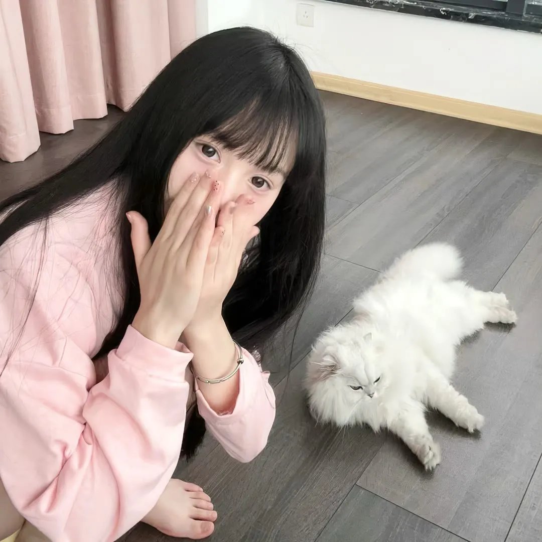 美式晚宴 海报